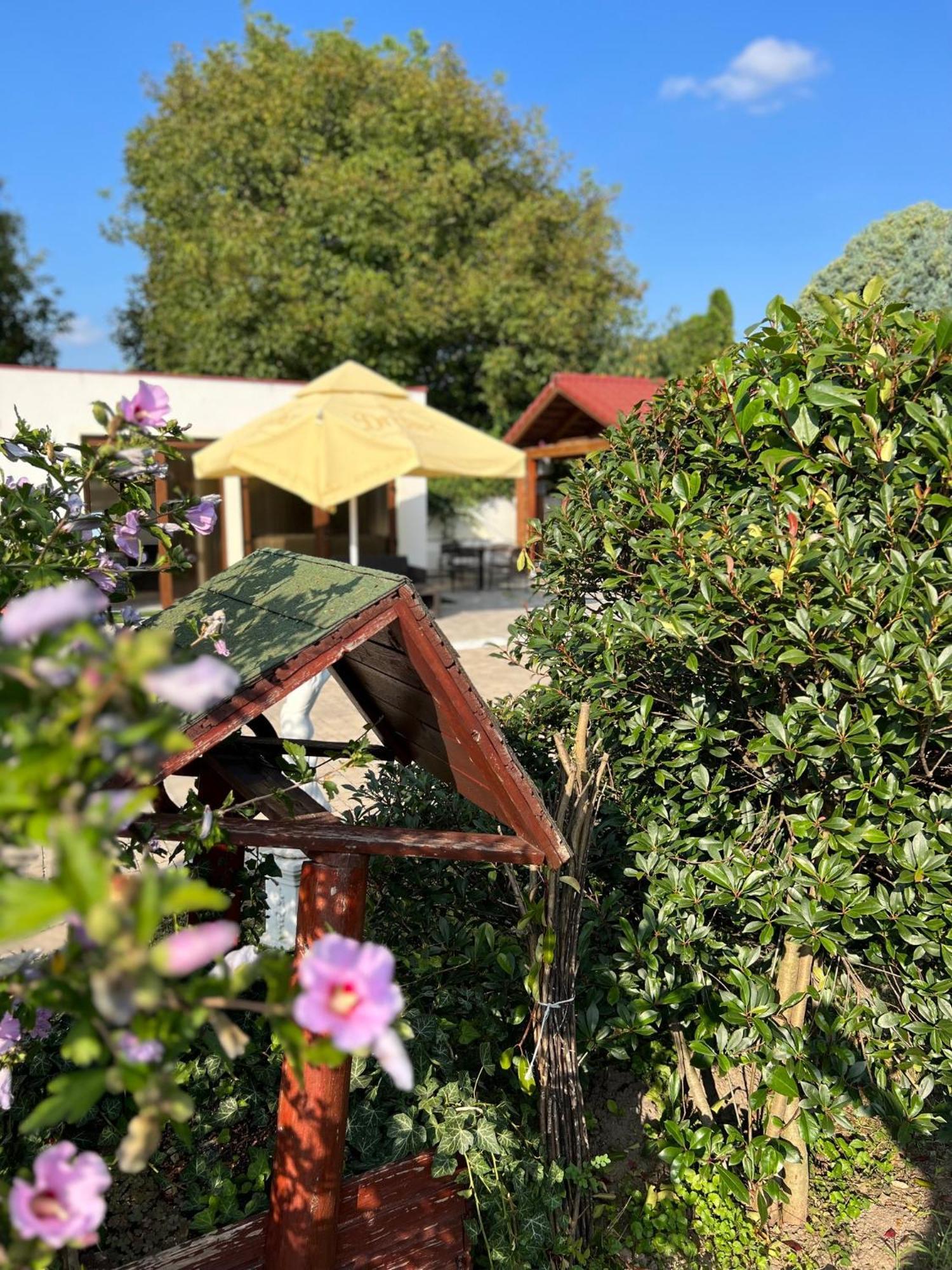 Bajor Panzio Buek-Buekfuerdo, Adults Friendly 12 Plus Экстерьер фото
